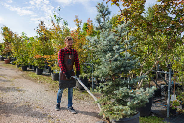 Best Aeration Services  in Warner, OK